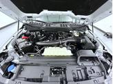 Thumbnail of 2025 Oxford White Ford F-150