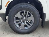 Thumbnail of 2025 Glacier White Nissan Frontier