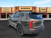 Thumbnail of 2022 Dark Moss Kia Telluride