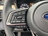 Thumbnail of 2025 Autumn Green Metallic Subaru Outback