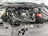 Thumbnail of 2024 White Ford Ranger