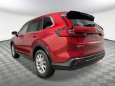 Thumbnail of 2026 Radiant Red Metallic Honda CR-V