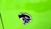 Thumbnail of 2015 Green Dodge Challenger