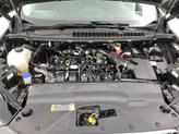 Thumbnail of 2024 Gray Ford Edge
