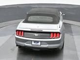 Thumbnail of 2022  Ford Mustang