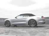 Thumbnail of 2022  Ford Mustang