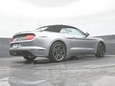 Thumbnail of 2022  Ford Mustang