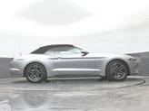 Thumbnail of 2022  Ford Mustang
