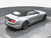 Thumbnail of 2022  Ford Mustang