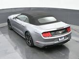 Thumbnail of 2022  Ford Mustang