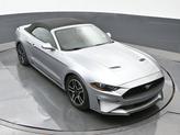 Thumbnail of 2022  Ford Mustang