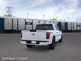 Thumbnail of 2025 Oxford White Ford F-150