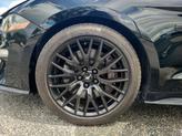 Thumbnail of 2019 SHADOW BLACK Ford Mustang