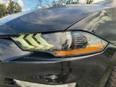 Thumbnail of 2019 SHADOW BLACK Ford Mustang