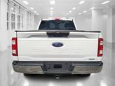 Thumbnail of 2023 OXFORD WHITE Ford F-150