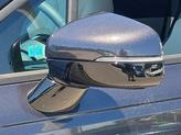 Thumbnail of 2025 Panthera Metal Kia Carnival Hybrid