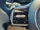 Thumbnail of 2025 Panthera Metal Kia Carnival Hybrid