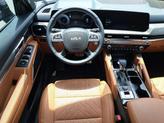 Thumbnail of 2025 Panthera Metal Kia Telluride