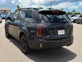 Thumbnail of 2025 Panthera Metal Kia Telluride