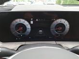 Thumbnail of 2025 Panthera Metal Kia Telluride