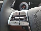Thumbnail of 2025 Panthera Metal Kia Telluride