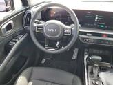 Thumbnail of 2025 Panthera Metal Kia Sorento