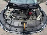 Thumbnail of 2024 Glacier White Nissan Rogue
