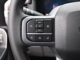Thumbnail of 2024 Carbonized Gray Metallic Ford F-150