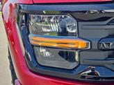 Thumbnail of 2025 Rapid Red Metallic Tinted Clearcoat Ford F-150