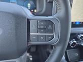 Thumbnail of 2025 Carbonized Gray Metallic Ford F-150