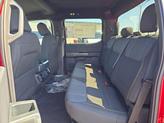 Thumbnail of 2025 Rapid Red Metallic Tinted Clearcoat Ford F-150