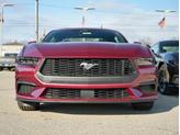 Thumbnail of 2025 Molten Ford Mustang