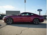 Thumbnail of 2025 Molten Ford Mustang