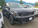 Photo of 2025 Ebony Black Kia Telluride
