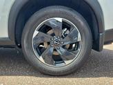 Thumbnail of 2025 Everest White Pearl Nissan Rogue
