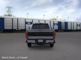 Thumbnail of 2025 Avalanche Ford F-250