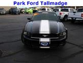 Thumbnail of 2014 Black Ford Mustang