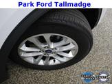 Thumbnail of 2022 Oxford White Ford Escape
