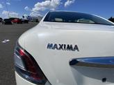 Thumbnail of 2014 Pearl White Nissan Maxima