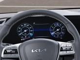 Thumbnail of 2025 Panthera Metal Kia Telluride