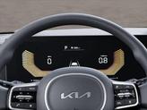 Thumbnail of 2026 Panthera Metal Kia Carnival