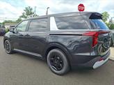 Thumbnail of 2026 Panthera Metal Kia Carnival