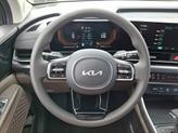 Thumbnail of 2026 Panthera Metal Kia Carnival