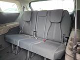 Thumbnail of 2026 Panthera Metal Kia Carnival