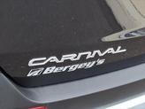 Thumbnail of 2026 Panthera Metal Kia Carnival