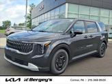 Photo of 2026 Panthera Metal Kia Carnival