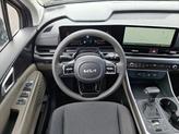 Thumbnail of 2026 Panthera Metal Kia Carnival