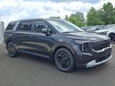 Thumbnail of 2026 Panthera Metal Kia Carnival