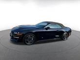 Thumbnail of 2023 Shadow Black Ford Mustang