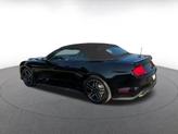 Thumbnail of 2023 Shadow Black Ford Mustang